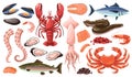 Cartoon raw sea food products. Marine and oceanic gourmet delicacies, fish and shellfish, phosphorus and omega 3