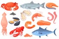 Cartoon raw seafood. Sea fish gourmet food, crayfish squid shrimp salmon crab trout shellfish, lobster dinner, ocean red Royalty Free Stock Photo