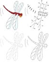 Cartoon red dragonfly.
