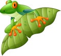 Cartoon red-Eyed Amazon Tree Frog on green leaf