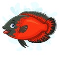 Cartoon Red Oscar paris fish on white background Royalty Free Stock Photo