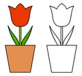 Cartoon red tulip colorful and black and white. Coloring book page for children. Colored and outline vector flower illustration