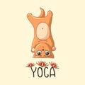 A cartoon red yoga kitten stands on the head with the inscription and lotus flowers.