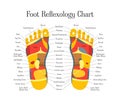 Cartoon Reflexology Feet Alternative Medicine. Vector