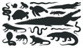 Cartoon reptile and amphibian silhouettes. Wild animals, frog, crocodile, lizard, snake, chameleon and turtle black silhouette,
