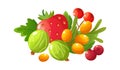 Cartoon ripe berries. Gooseberry, red strawberry and fresh cranberry. Rowan berry, isolated raw fruits. Seasonal juicy