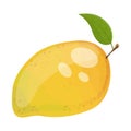 Cartoon ripe mango fruit, vector illustration Royalty Free Stock Photo