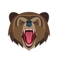 Cartoon roaring bear head on white background