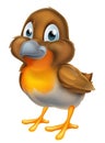 Cartoon Robin Bird Royalty Free Stock Photo