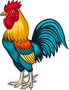 Cartoon rooster on white background