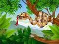 Cartoon Royal Python snake creeping on a branch Royalty Free Stock Photo