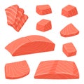 Cartoon salmon slices. Trout and chum salmon pieces, delicious ocean fish slices, salmon fillet flat vector illustration on white