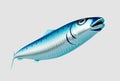 Cartoon Sardine Fish