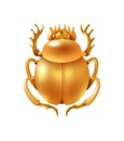 Cartoon Scarab Illustration