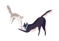 Cartoon scared cat and excited dog fighting vector flat illustration. Cute colorful domestic animal playing together Royalty Free Stock Photo