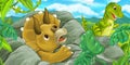 Cartoon scene with triceratops hidind behind the rock from tyrannosaurus rex Royalty Free Stock Photo