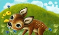 Cartoon scene with animal roe deer on the meadow - illustration Royalty Free Stock Photo