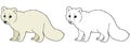 Cartoon scene with arctic polar fox animal with sketch - illustration