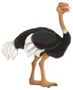 cartoon scene with bird ostrich happy having fun isolated illustration for children