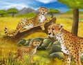 Cartoon scene with cheetah resting on tree with family illustration for children Royalty Free Stock Photo