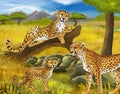 Cartoon scene with cheetah resting on tree with family illustration for children Royalty Free Stock Photo