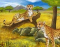 Cartoon scene with cheetah resting on tree with family illustration for children Royalty Free Stock Photo