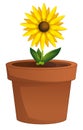 Cartoon scene with clay pot with flower isolated