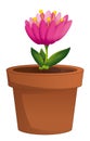 Cartoon scene with clay pot with flower isolated