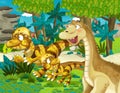 Cartoon scene with dinosaur apatosaurus diplodocus with some other dinosaur in the jungle triceratops and young triceratops Royalty Free Stock Photo