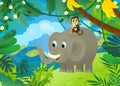 cartoon scene with elephant spilling water with other jungle animals friends being together illustration for children