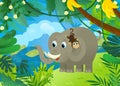 cartoon scene with elephant spilling water with other jungle animals friends being together illustration for children