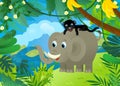 cartoon scene with elephant spilling water with other jungle animals friends being together illustration for children