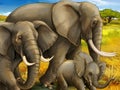 Cartoon scene with family of elephants safari illustration for children