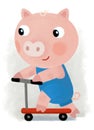 cartoon scene with farm pig boy child riding on scooter transportation illustration for children Royalty Free Stock Photo