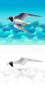 Cartoon scene with flying bird seagull tern isolated illustration Royalty Free Stock Photo