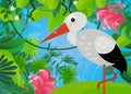 cartoon scene with forest and animal creature bird stork illustration for children