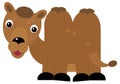 cartoon scene with happy camel dromedary safari isolated illustration for children Royalty Free Stock Photo