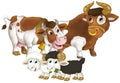 cartoon scene with happy farm animal cow and bul and two sheep having fun together isolated illustration for children Royalty Free Stock Photo