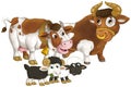 cartoon scene with happy farm animal cow and bul and two sheep having fun together isolated illustration for children Royalty Free Stock Photo
