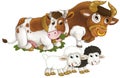 cartoon scene with happy farm animal cow and bul and two sheep having fun together isolated illustration for children Royalty Free Stock Photo