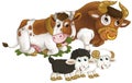 cartoon scene with happy farm animal cow and bul and two sheep having fun together isolated illustration for children Royalty Free Stock Photo