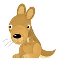 Cartoon scene with happy and funny kangaroo on white background Royalty Free Stock Photo