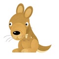 Cartoon scene with happy and funny kangaroo on white background Royalty Free Stock Photo