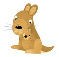 Cartoon scene with happy and funny kangaroo on white background