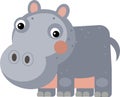 cartoon scene with happy hippo hippopotamus looking isolated illustration for children