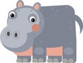 cartoon scene with happy hippo hippopotamus looking isolated illustration for children