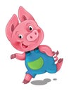Cartoon scene with happy running little pig - on white background