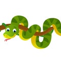 cartoon scene with happy tropical animal snake isolated illustration for children
