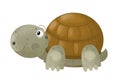 Cartoon scene with happy turtle on white background