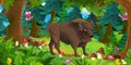 Cartoon scene with happy wild aurochs standing in the forest